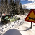 Rootsi MM-ralli toimumine sattus kahtluse alla