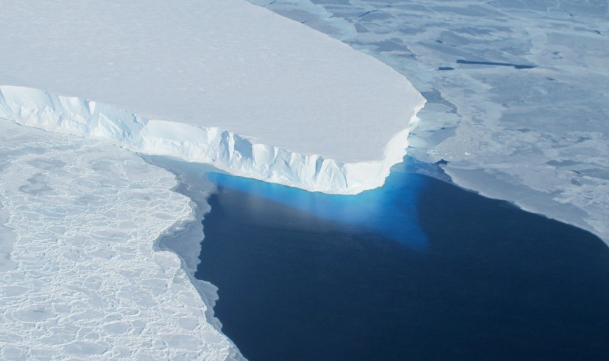 Thwaitesi liustiku osa (Foto: Wikimedia Commons / NASA ICE, James Yungel)
