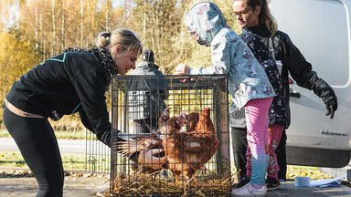 „Päris labane!“ Keskkonnakomisjoni esimehe irooniline märkus ajas loomasõbrad marru ja poliitikud tülli 