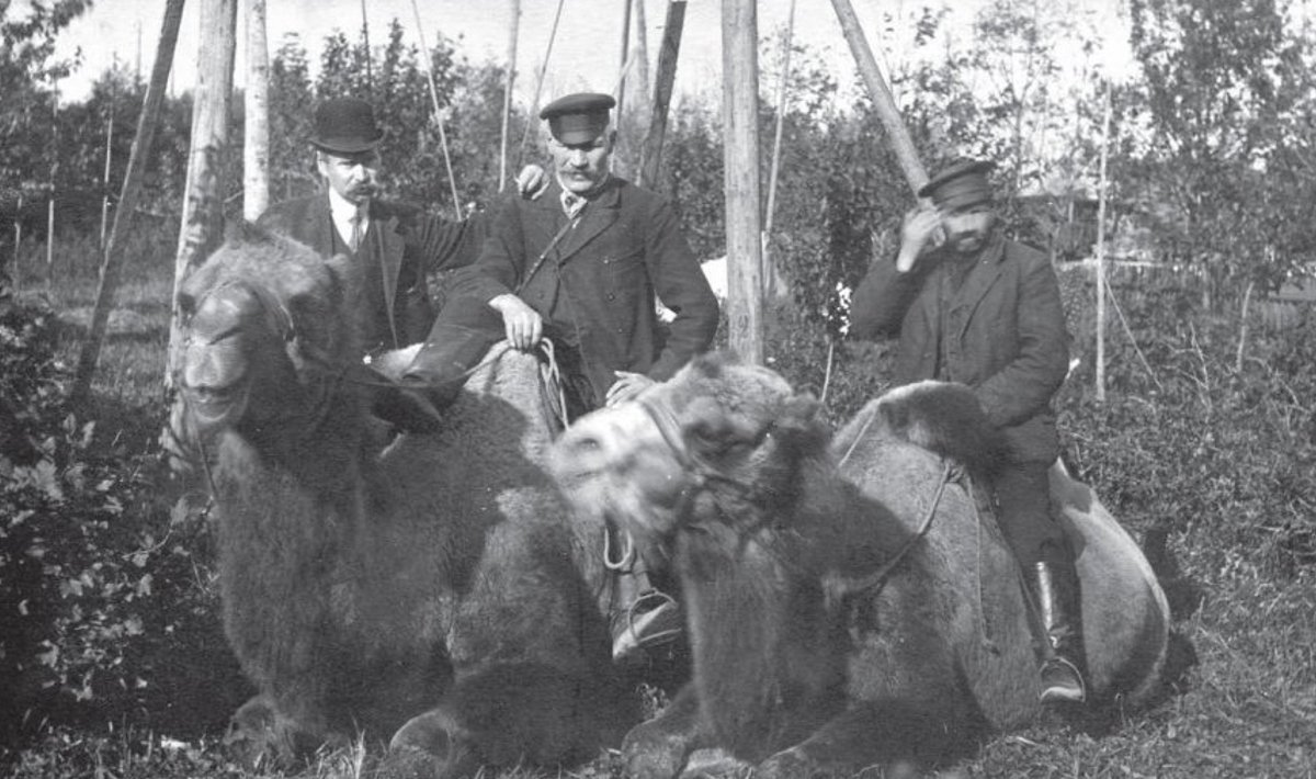 Keskmine mees kaameli seljas on Georg Lurichi onupoeg Hans Lurich. Teise kaameli seljas Velise vahimees Teodor Mann. Kuna pildistatud on see Väike-Maarjas, siis ilmselt keegi sealne kohalik on kolmas. Georg on Hansule kirjutanud (kaart jõudis Märjamaale 1