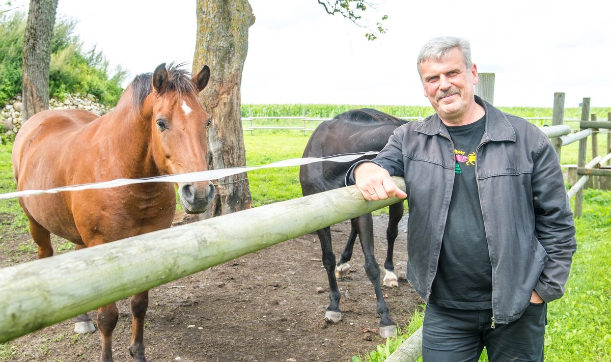 “Pajusi külaelu on mulle väga südamelähedane,” teatab Lembit Paal, kes põllumajanduse kõrvalt peab oma restaureeritud Loopre-Lepiku talus ka hobuseid, et võimaldada noortele talu maneežis ratsutamisõpet.