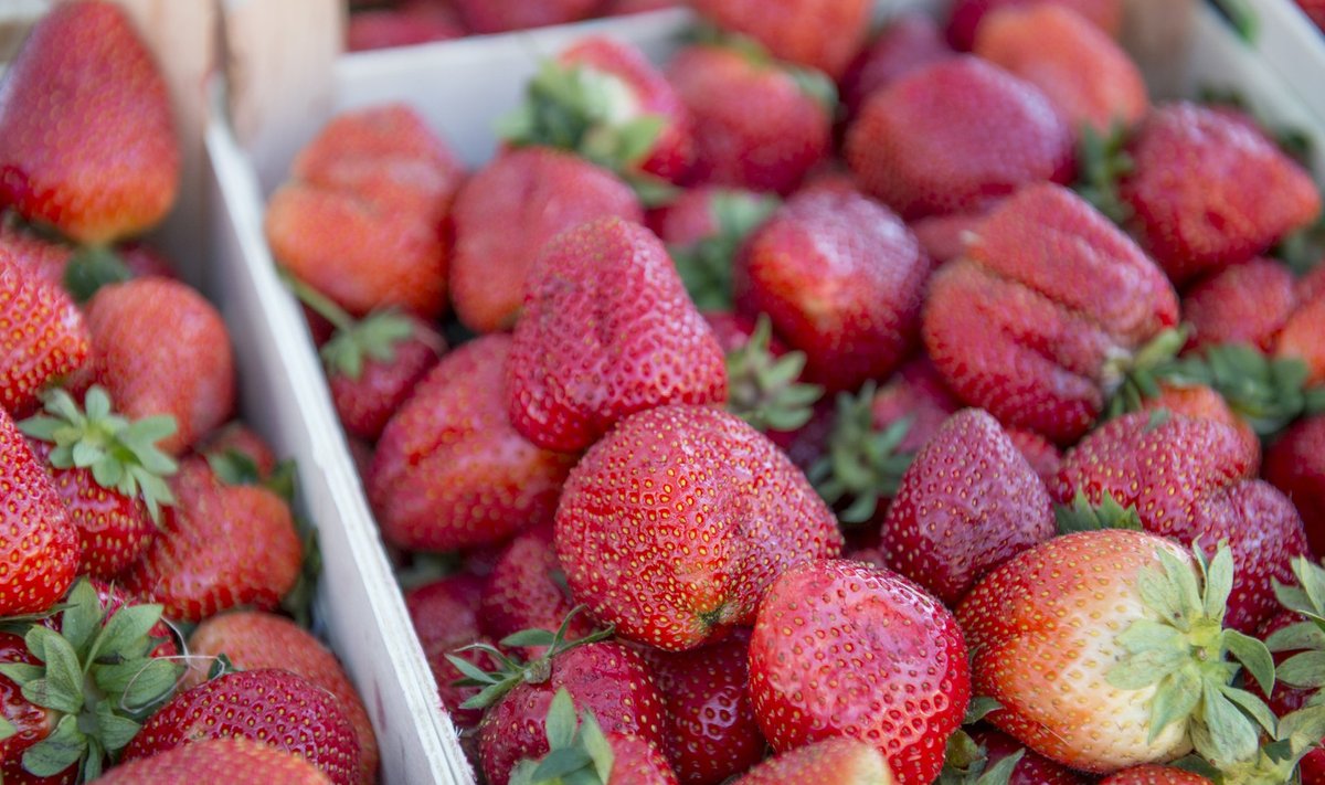 Maasika hinnad keskturul 2014