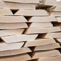 Правительство инициировало составление особой детальной планировки завода по рафинированию древесины