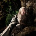 Kas teadsid, miks loobus Sir Ian McKellen "Harry Potteri" seeria Dumbledore'i rollist?