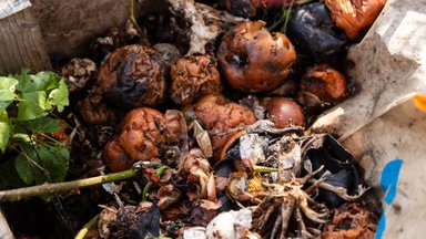 Biojäätmed olgu sorteeritud: 10 omavalitsust saab toetust kompostrite ostuks