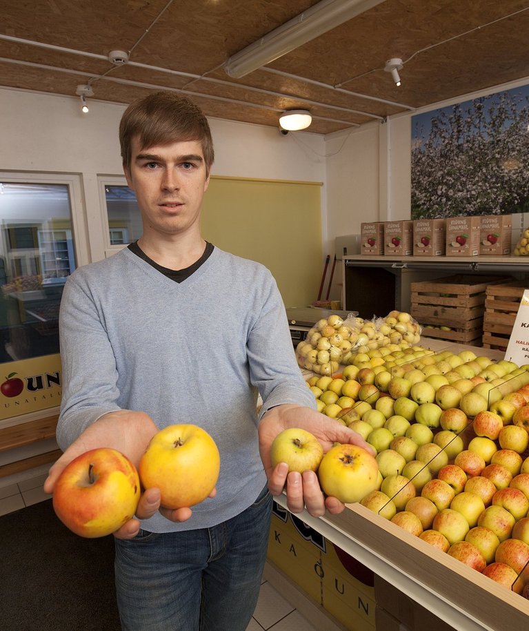 Halika õunatalu peremees Lauri Kasvand kinnitab, et nende talu õunu jätkub poelettidel aprillini.