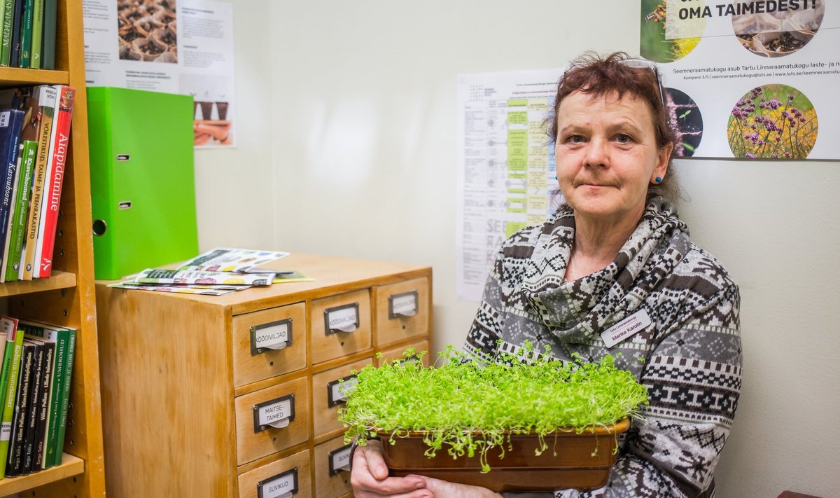 Seemneraamatukogu eestvedaja Merike Karolin loodab tartlaste seas taimekasvatushuvi edendada.
