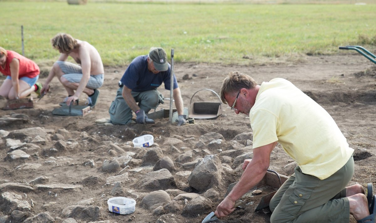 Mullu nähti arheoloogilisi kaevamisi Maidlas.