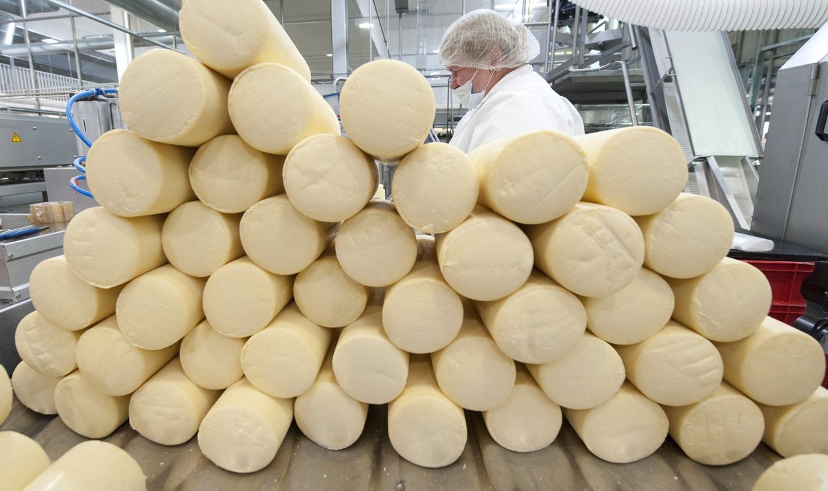 Eestis toodetud piimatoodetest ja piimast eksporditakse umbes pool.