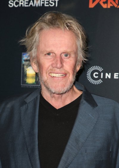 Gary Busey