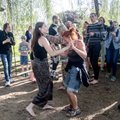 Таллиннская горуправа: танец вокруг ивы в Хааберсти — непонятное представление