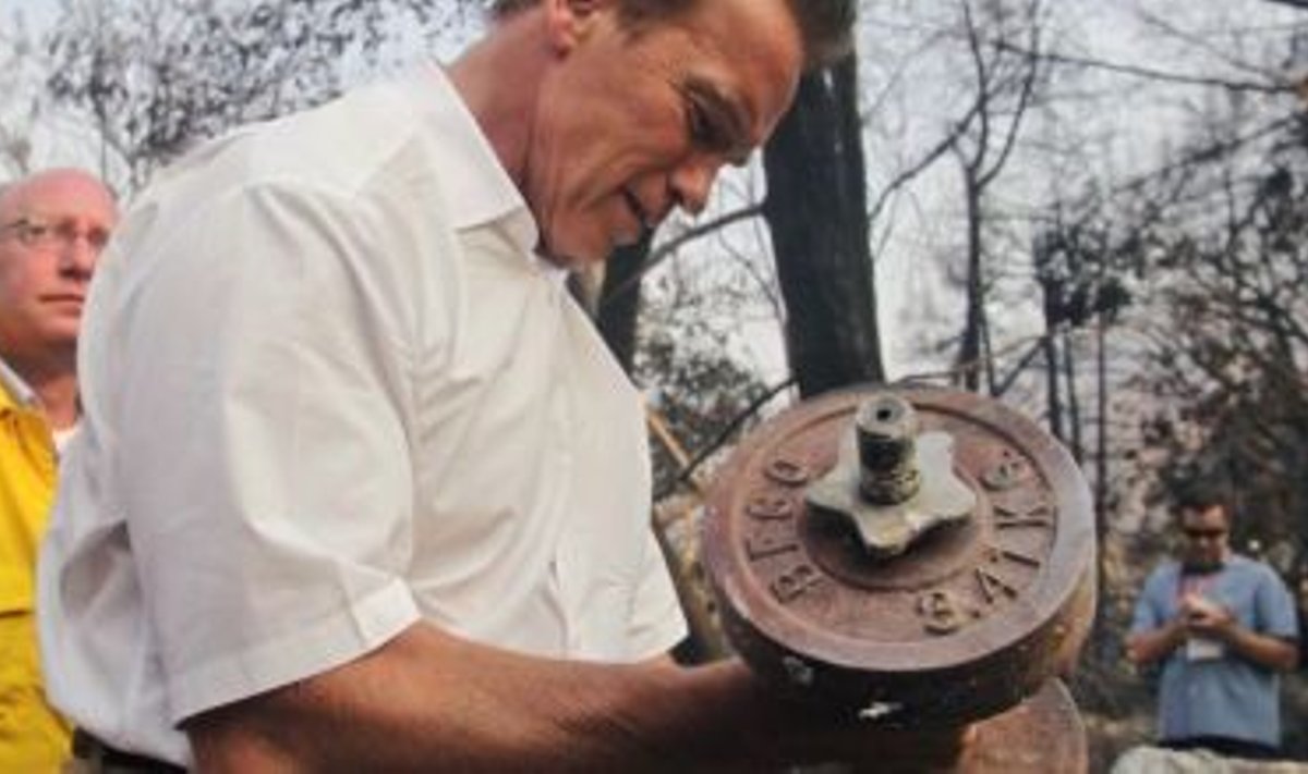 Kuberner Schwarzenegger uudistab põlenud maja