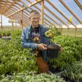 700 erilist tomatisorti kasvatanud ja müünud PotiTomat OÜ lõpetas tegevuse
