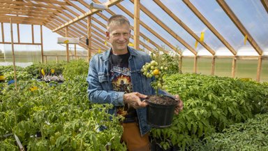 700 erilist tomatisorti kasvatanud ja müünud PotiTomat OÜ lõpetas tegevuse