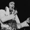 TOP 5 VIDEOD: Elvis Presley kõige kuninglikumad jäljendajad!