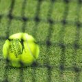 Tenniseliit määras võistluskeelu füüsilist vägivalda kasutanud noorsportlasele