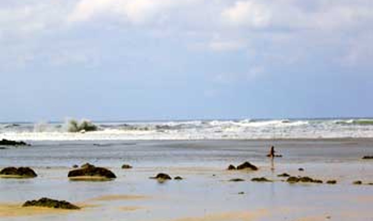 MERE HOIATUS:  Mart Normeti pildil nähaolev suur laine veeres Ko Lanta randa mõni hetk enne hävitavat veemassi, mis oleks äärepealt endaga kaasa viinud ka loo autori. Mart Normet