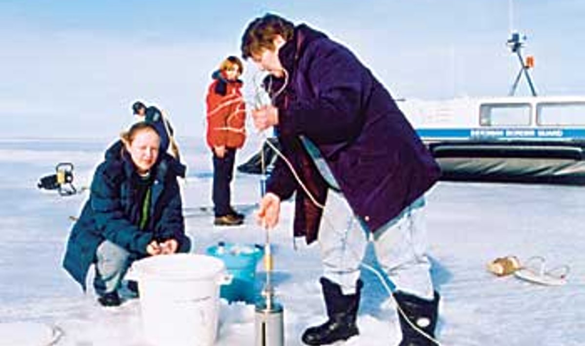 KÄSI PEIPSI PULSIL: Järveuurijad Marju Kägu (vasakul) ja Reet Laugaste uputavad jääauku batomeetri, et saada planktoniproovi, mis annab ülevaate põhjaloomade toidulaua olukorrast. Juhani Püttsepp