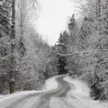 ИЗУМИТЕЛЬНЫЕ ФОТО | В Эстонию пришла настоящая зима!