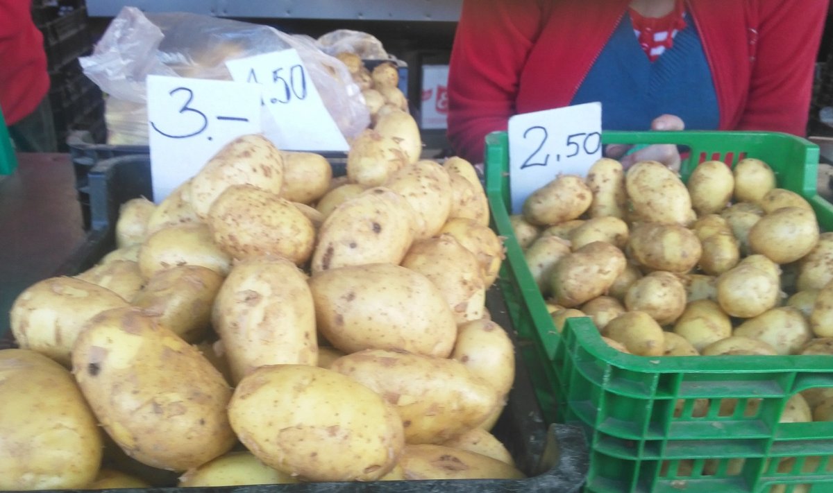 Värske kartuli hinna määrab suurus.