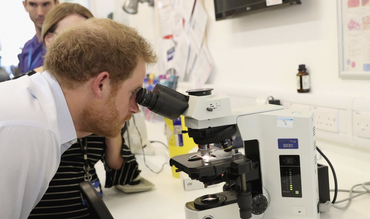 Briti prints Harry Londoni seksuaaltervise kliinikus läbi mikroskoobi gonorröabakteriat vaatamas.