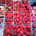 ERISAADE | Kas Eesti maasikat saab usaldada? Milliseid pettusi maasikaturult võib leida?