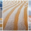 ФОТО | Снегопад в пустыне Сахара оставил необычные узоры на песке