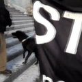 VIDEO:ACTA vastane meelevaldus Tallinnas