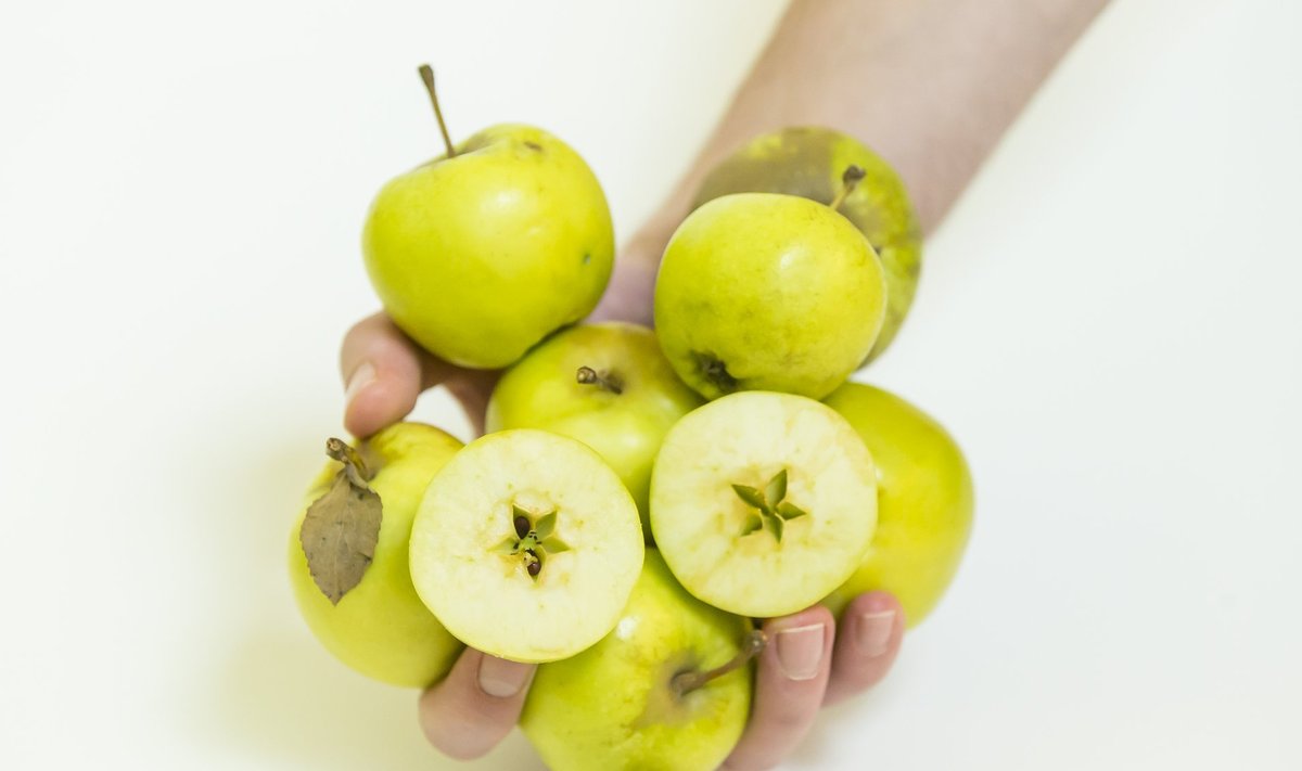 Saaremaa õunad