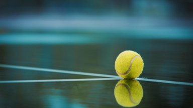 Куда после турниров девают тысячи потрепанных теннисных мячей?