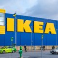 IKEA по-прежнему зарабатывает деньги в России