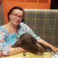 Катри Райк: выделенные около миллиона евро на преодоление коронакризиса Нарва хочет потратить на животных