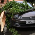 Жертвами урагана в Москве стали 11 человек
