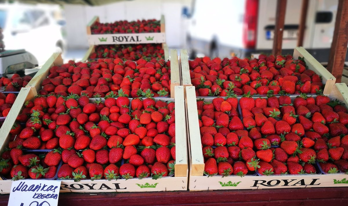 Täna maksid kõige odavamad Kreeka maasikad keskturul 1,80 eurot kilogrammi eest, Tartus 2 eurot.