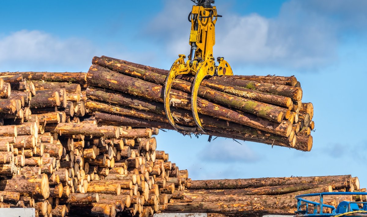 Olulisematest tegevusaladest vähenes muu hulgas puidu töötlemine.