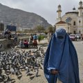“Талибан” запретил афганским женщинам путешествовать самостоятельно