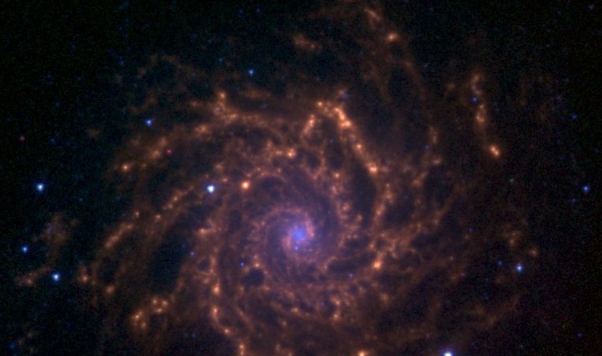 M74, vaadatuna läbi Spitzeri kosmoseteleskoobi.