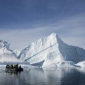 Как массовый туризм убивает дикую природу Антарктиды
