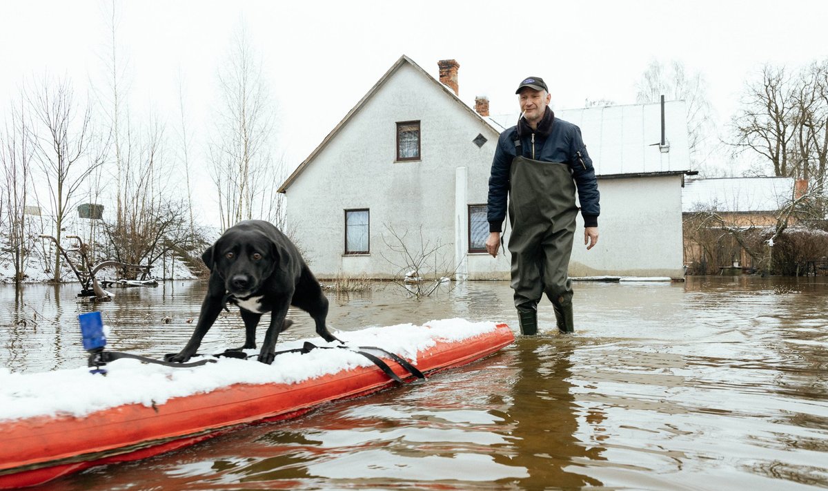 Jēkabpilsi pikaaegne elanik Sergei oma koera Kamuriga, kes hirmsat moodi vett kardab. 