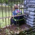 ФОТО читателей Delfi | Чтобы никто не пролез: охранник сторожит на Певческом поле дырку в заборе