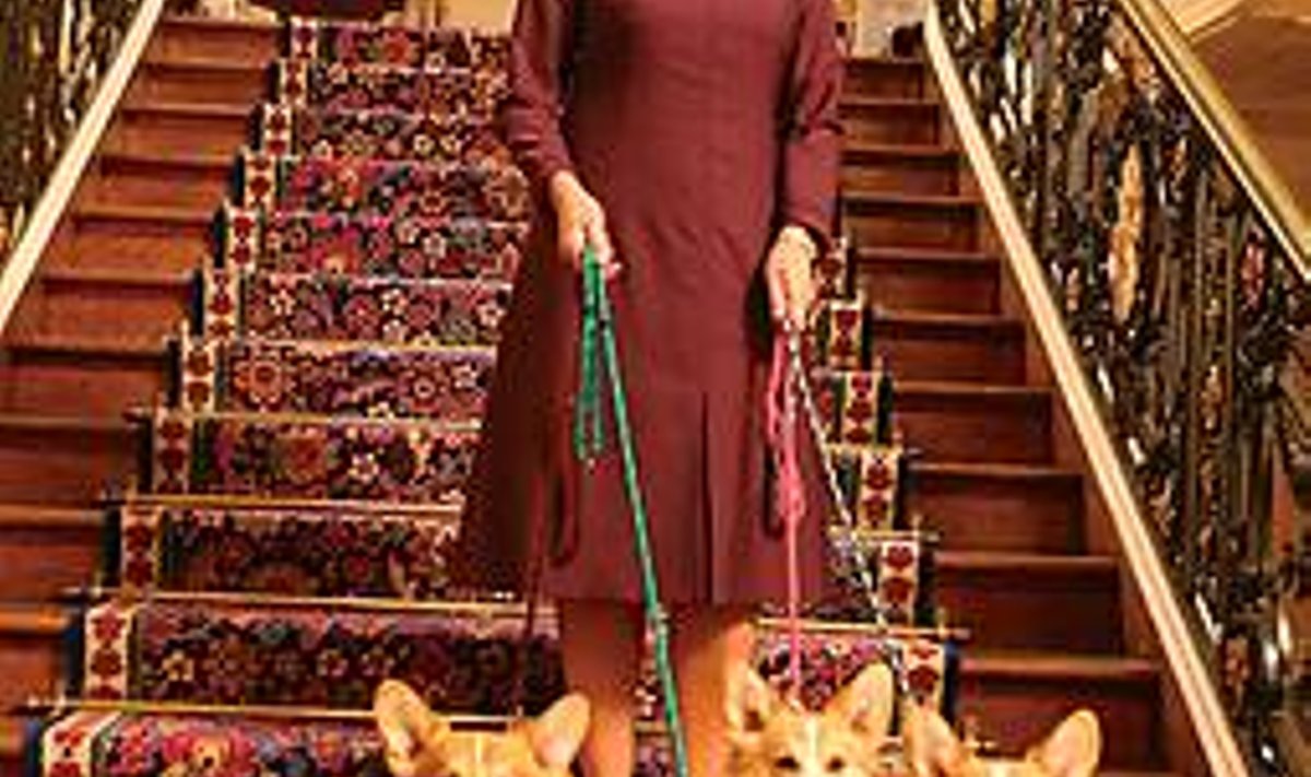 Daam koerakestega: Helen Mirren (Kuninganna Elisabeth) suudab sekundiga peita inimliku nõrkusehetke kuningliku kõrkusemaski taha. Suurepärane roll kunagiselt seksisümbolilt. Järgmiseks ootame Angelina Jolie’lt ema Theresa kehastamist jms. IMAGE.NET