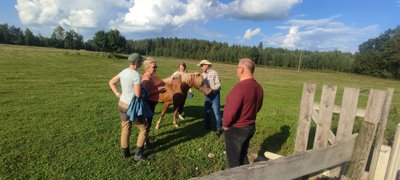 Žürii imetleb poniverega hobust, kes vaatamata väikesele kasvule ka metsatööd teeb.