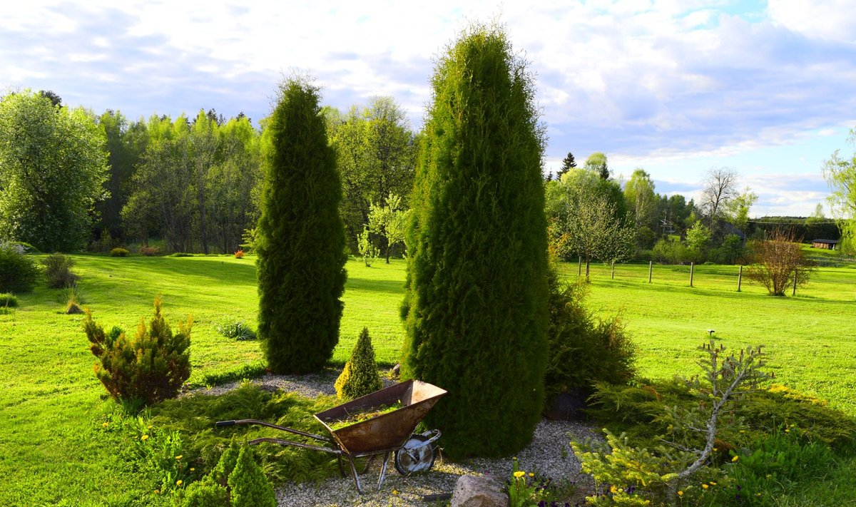 Fotovõistlus "Minu kodu suvel": Päikeseloojangutega maalitud aed