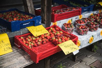 Eesti maasikad Tartu avaturul maksid nii 5 kui ka 12 eurot kilo.