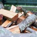 Kas oma küttepuude jaoks on vaja metsateatist?