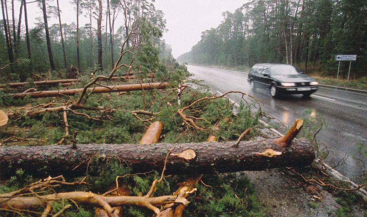 Jaanuaritorm 2005, Pärnumaa, üleujutus, vesi, tormi kahjude likviteerimine