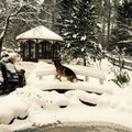 FOTOD: Savisaar naudib talverõõme ja käib hoolega trennis