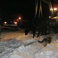 FOTOD: Tartumaal kukkus lehm kaevu