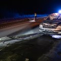 ФОТО | На шоссе Таллинн-Нарва автомобиль сбил лося, пострадали два человека