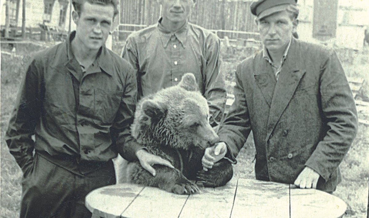 Jaan Raagmets (paremal) Uuralis. Laagri juhtkonna heakskiidul panid vangid raha kokku ja ostsid kohalikelt 500 rubla eest karu, et kokal oleks toekam proviante toomas käia – teedel liikus ju alailma röövleid. 